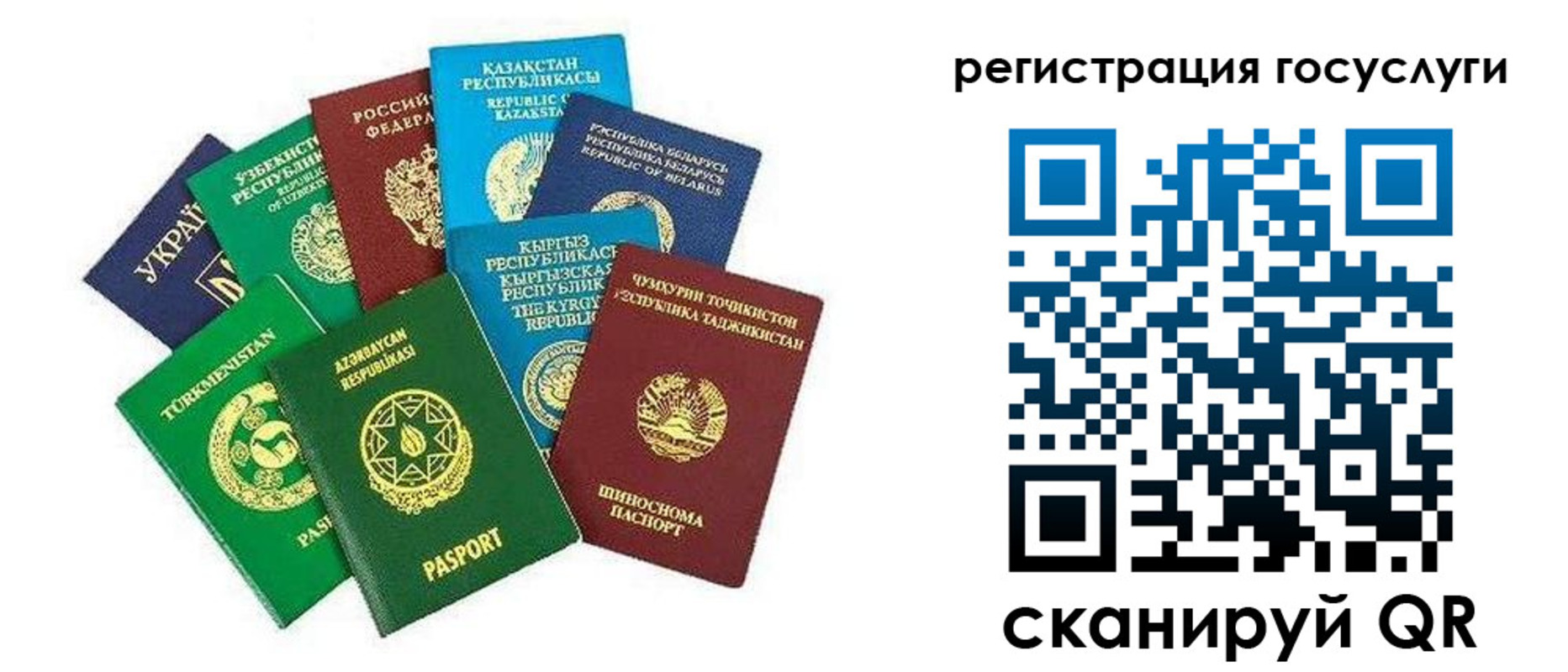 временная регистрация госуслуги в Королёве